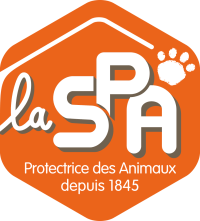 Accueil | 1 spa